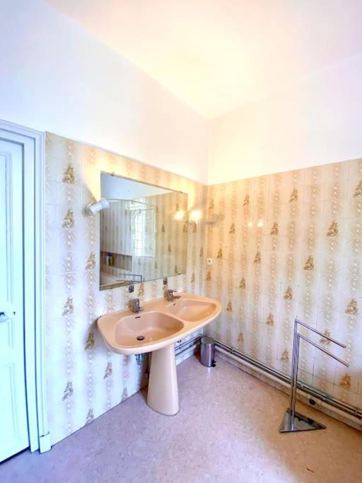 Villa Demeure St Martin Vierzon Esterno foto