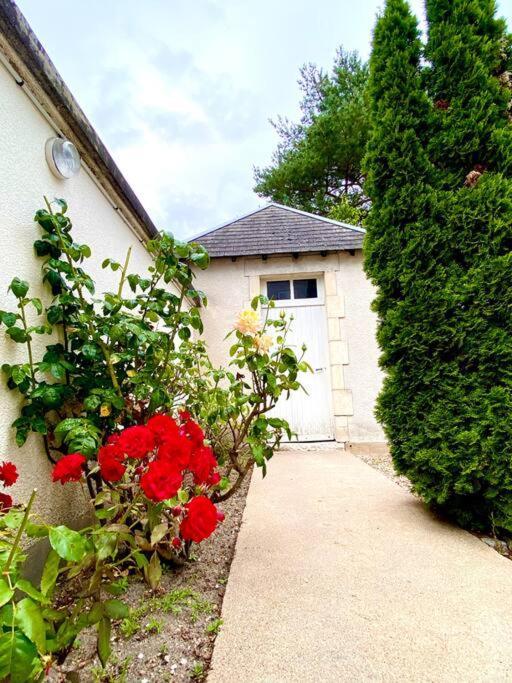 Villa Demeure St Martin Vierzon Esterno foto